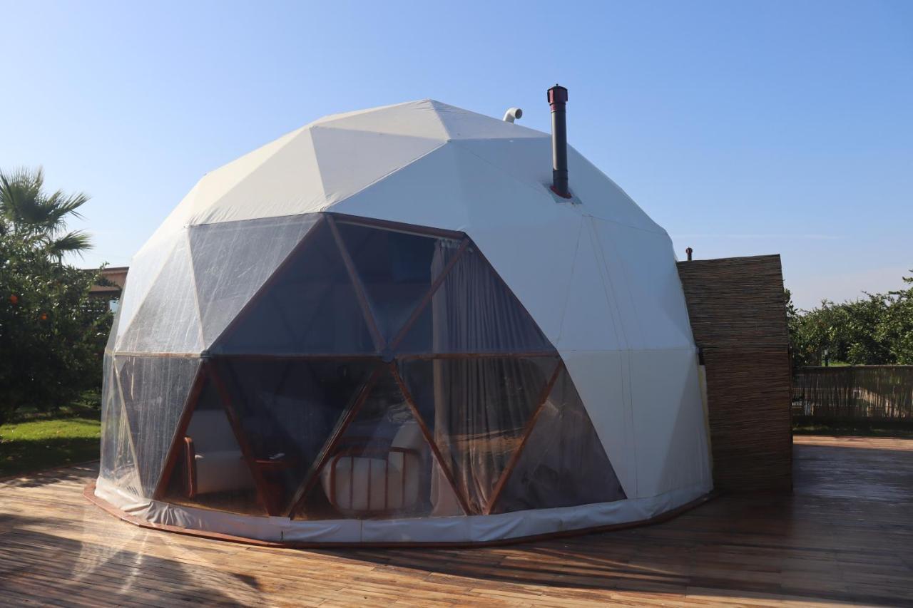 Mandalin Glamping Hotel Selçuk Ngoại thất bức ảnh