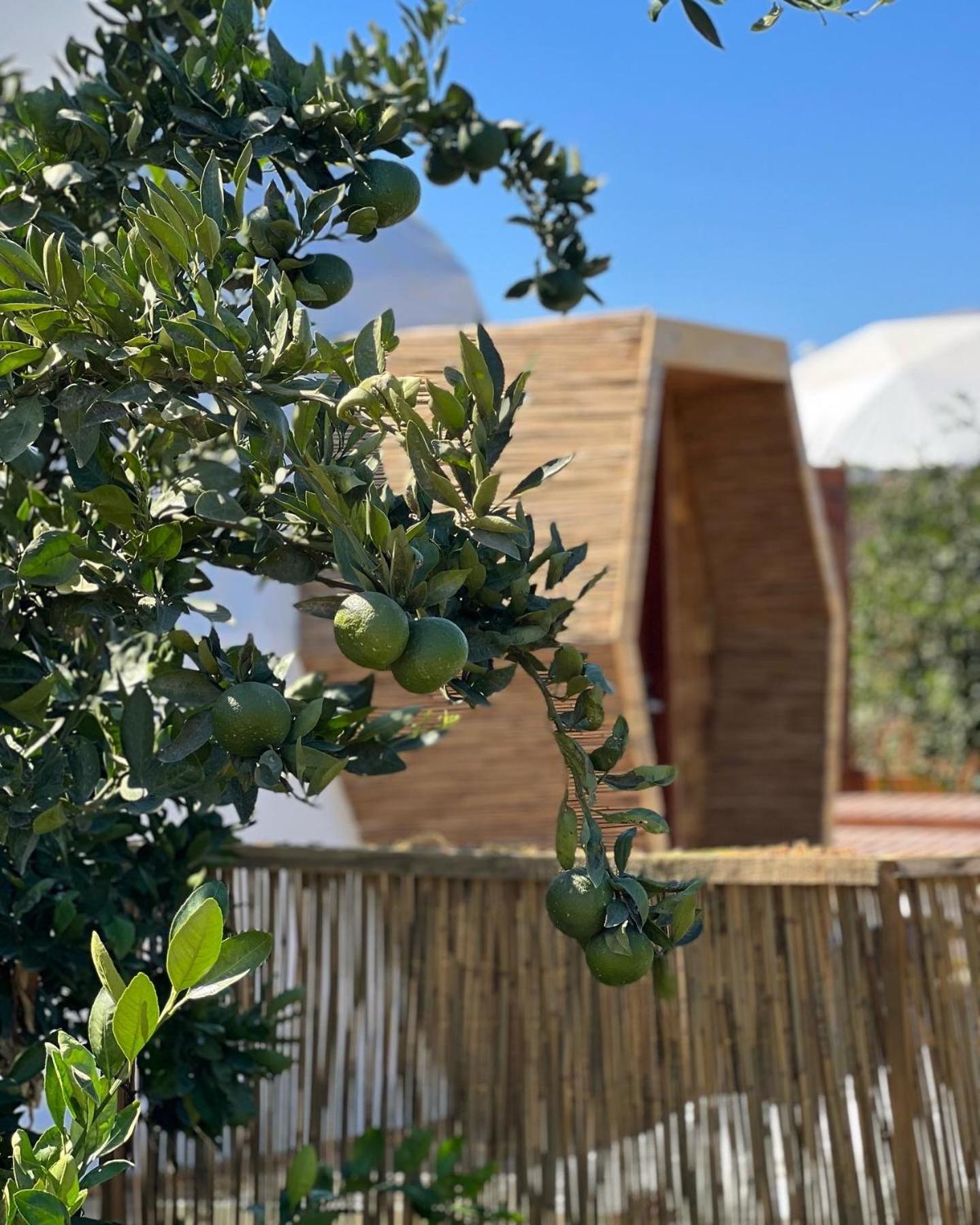 Mandalin Glamping Hotel Selçuk Ngoại thất bức ảnh